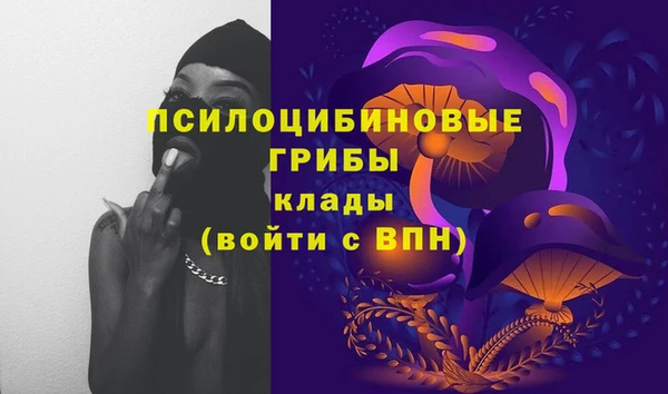 спиды Бронницы