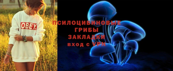 спайс Бородино