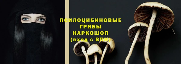 спайс Бородино