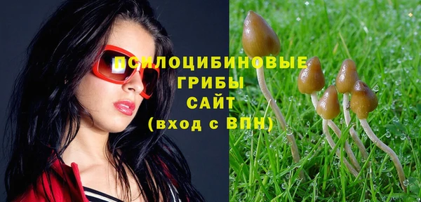 спайс Бородино