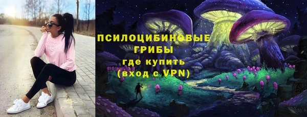 спайс Бородино